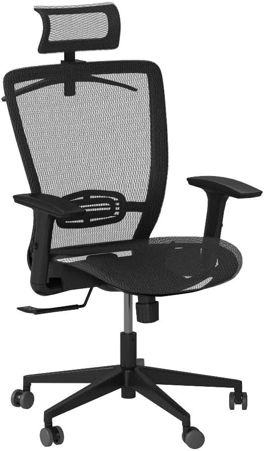 Executive Ergonomic Office Chair