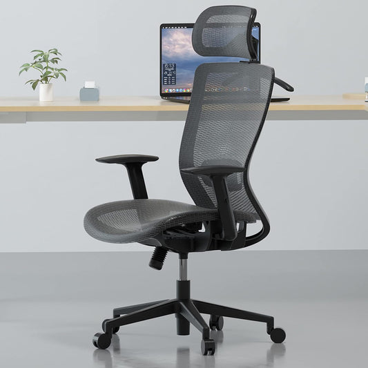 Executive Ergonomic Office Chair